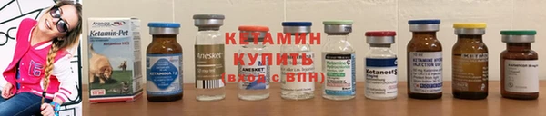 амф Липки