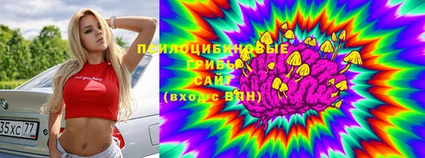 МДМА Богданович