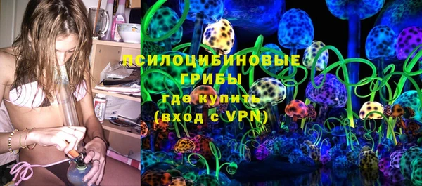 амф Липки