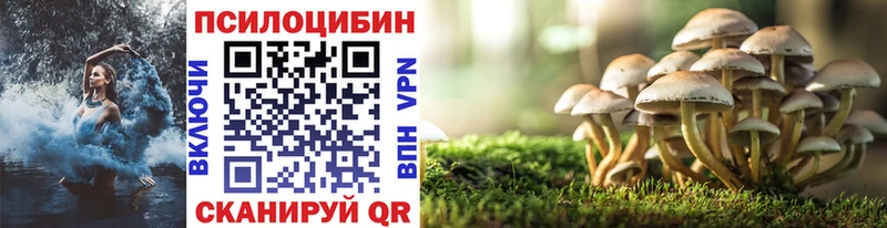 наркотики  Нижние Серги  Галлюциногенные грибы мицелий 
